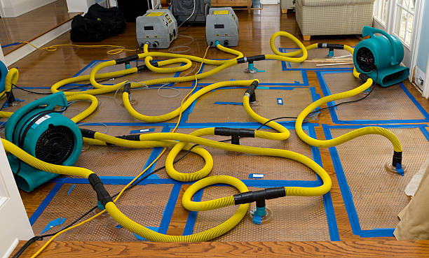 Professional Flood Damage Restoration technician working in Kinderhook, NY